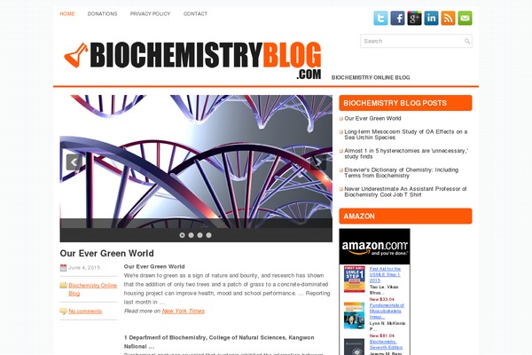 Intozine theme site design template sample