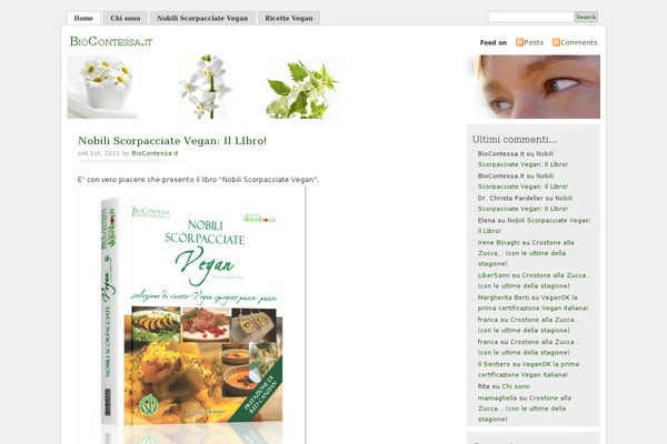 Misty Look theme site design template sample