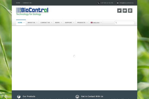 Netstudio-wp theme site design template sample