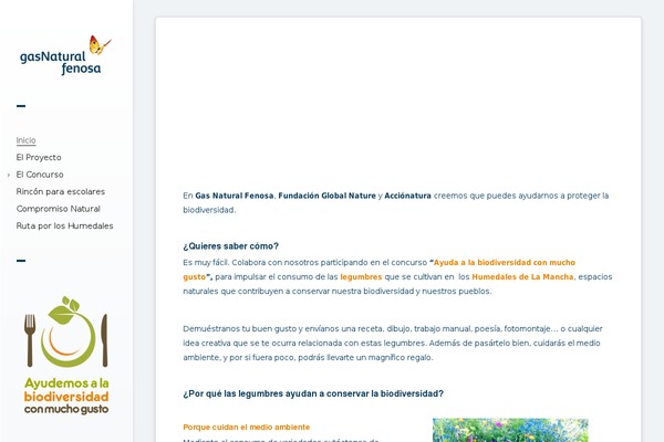 Pluto theme site design template sample