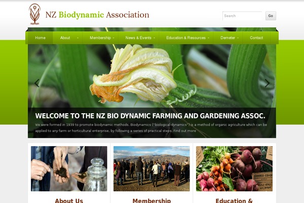NonProfit theme site design template sample