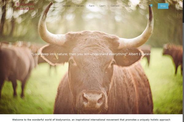 Site using Fetch Tweets plugin