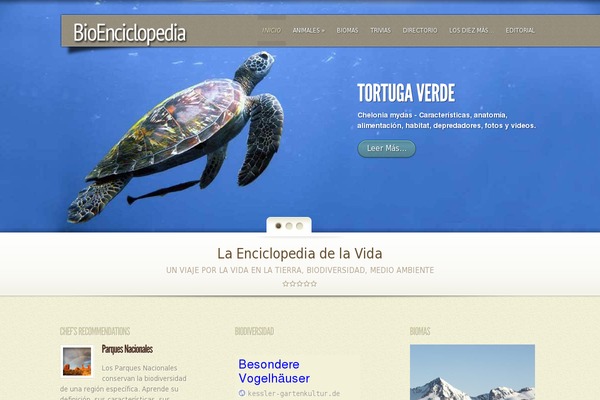 elegantfusion-child theme websites examples