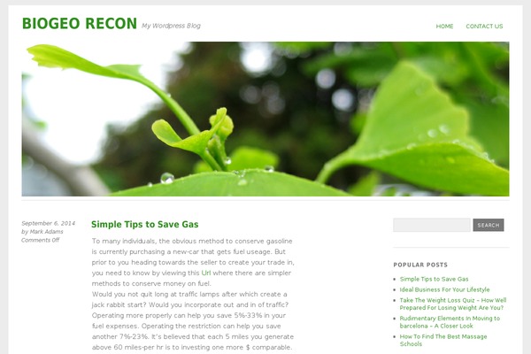 Yoko theme site design template sample