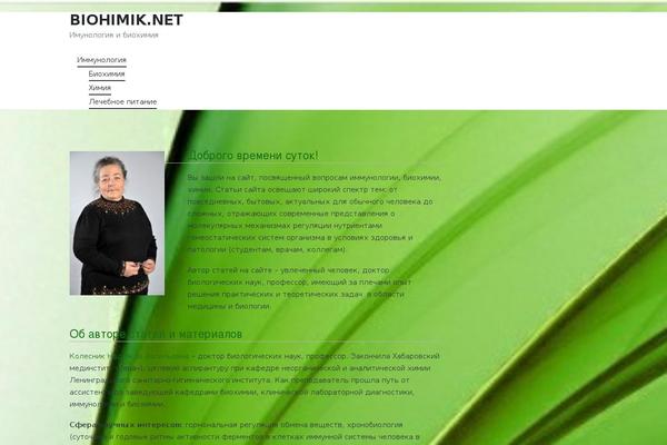 Sinatra Child Theme theme site design template sample