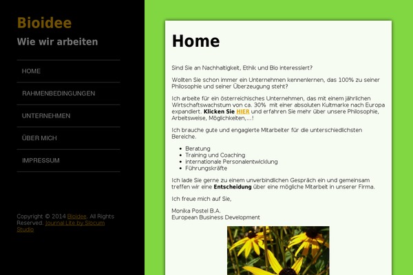 Journal Lite theme site design template sample