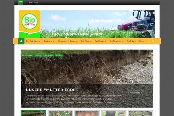 Colornews-pro theme site design template sample
