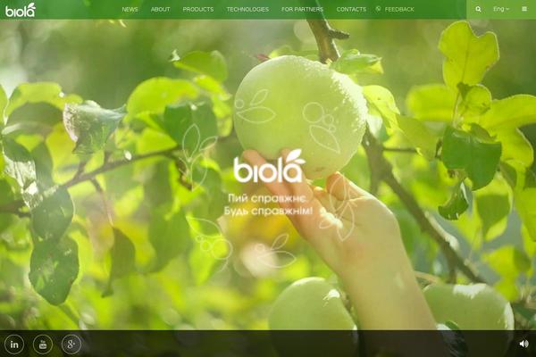 Site using Code Embed plugin