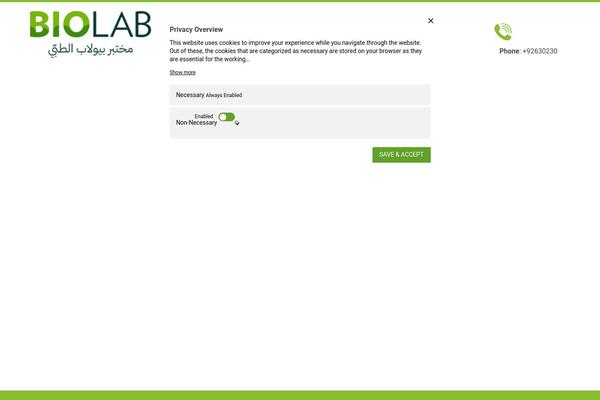 Xtra-child theme site design template sample
