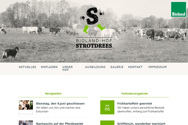 Harmony theme site design template sample