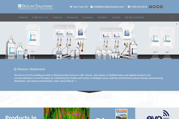 Aaika theme site design template sample