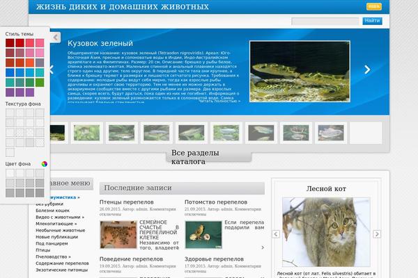 Directorynews theme site design template sample