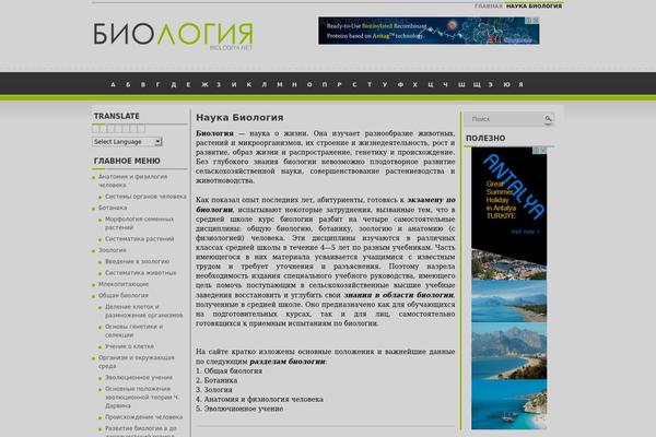 Vilicom theme site design template sample
