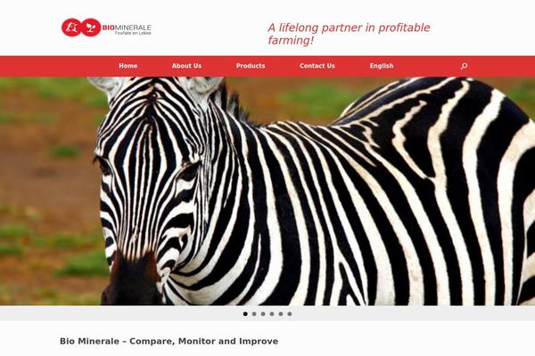 Site using SiteOrigin Widgets by CodeLights plugin