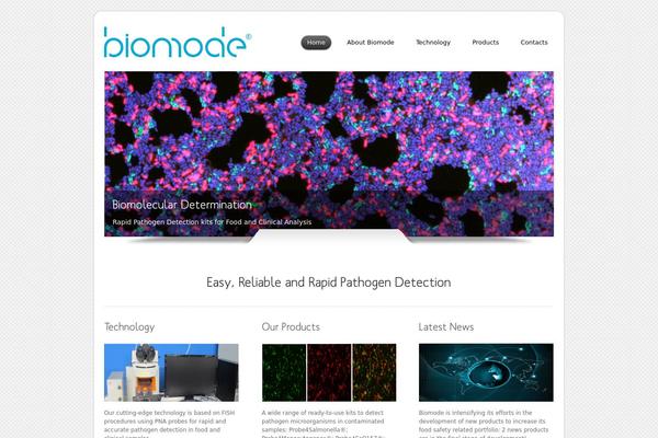 Dzonia Lite theme site design template sample