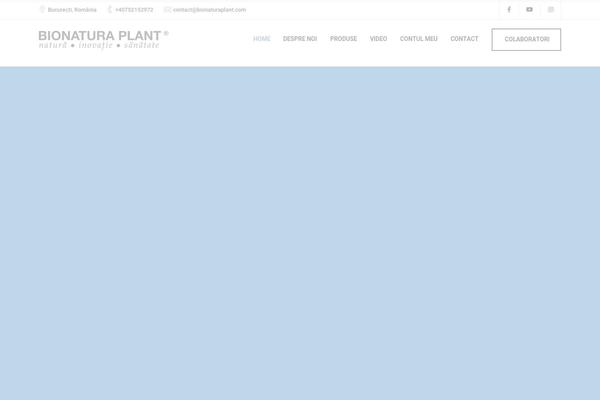 Etalon theme site design template sample