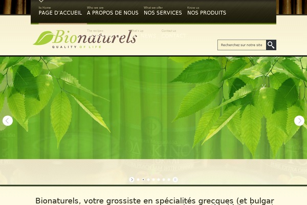 SPA Treats theme site design template sample