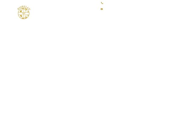 Ave theme site design template sample