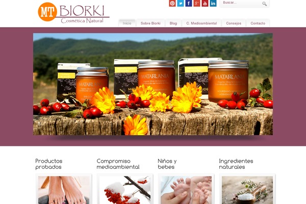 PureVISION theme site design template sample