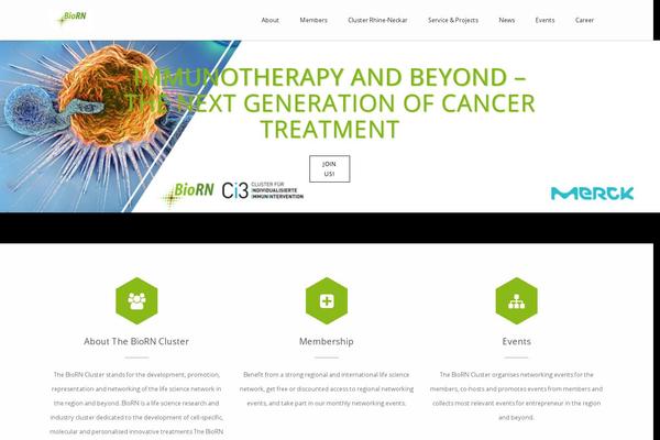 Advertica theme site design template sample