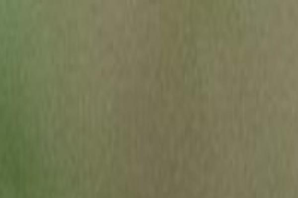 Site using Sassy Social Share plugin