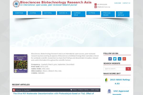 Biss theme site design template sample