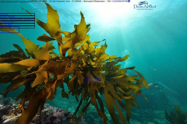 Site using Revolution Slider plugin