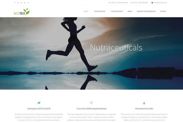 Avian theme site design template sample