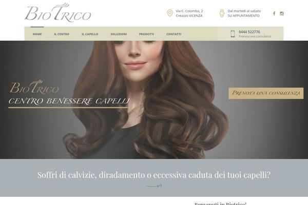 Cinderella theme site design template sample