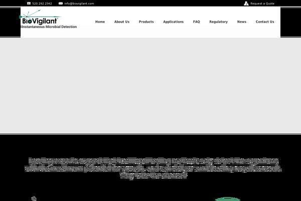 Wireframe theme site design template sample
