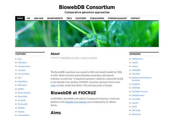 Coraline theme site design template sample
