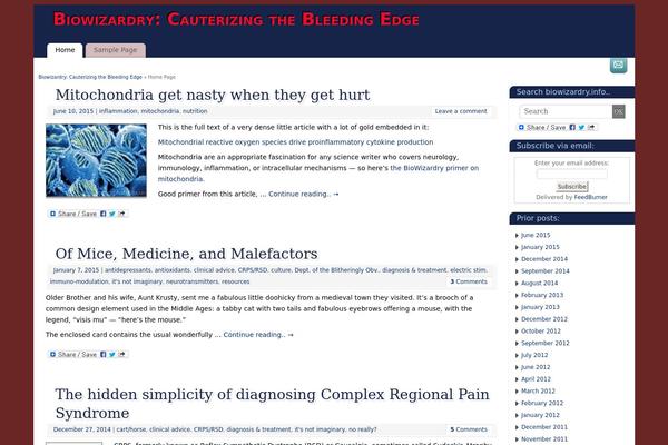 Mantra theme site design template sample
