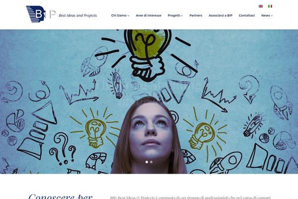 The-cause theme site design template sample
