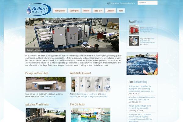 bipurewater.com site used Divi