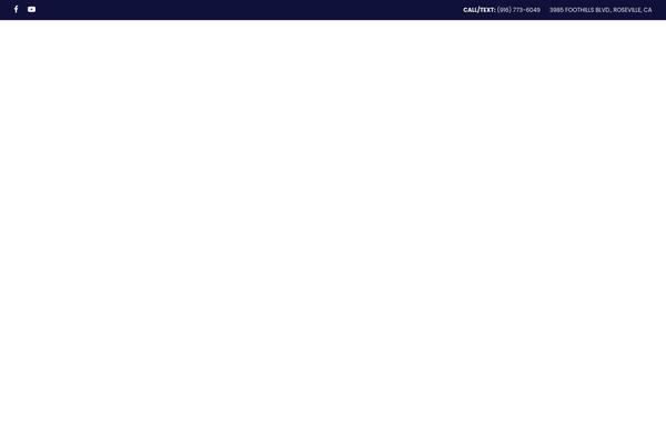 Site using Lifelearn-accessibility plugin