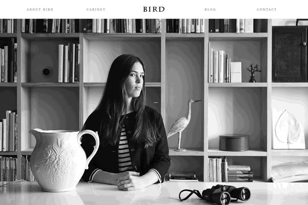 Bird theme site design template sample