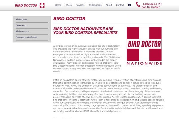 Roots theme site design template sample