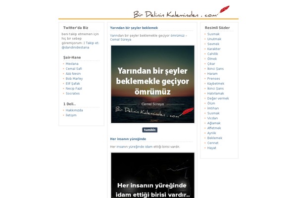 sozler theme websites examples