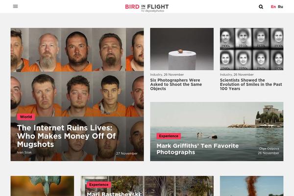Simple Catch theme site design template sample