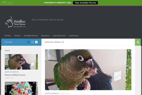 Site using Light plugin