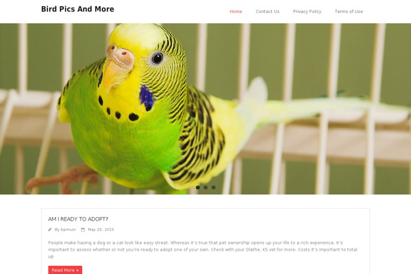 Minamaze theme site design template sample
