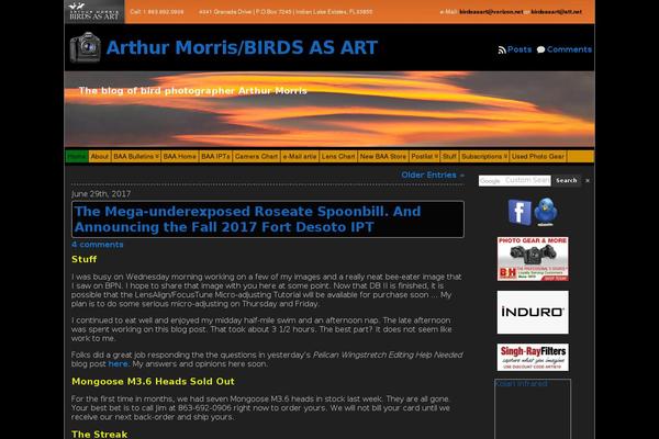 Site using Server-Side Google Search plugin