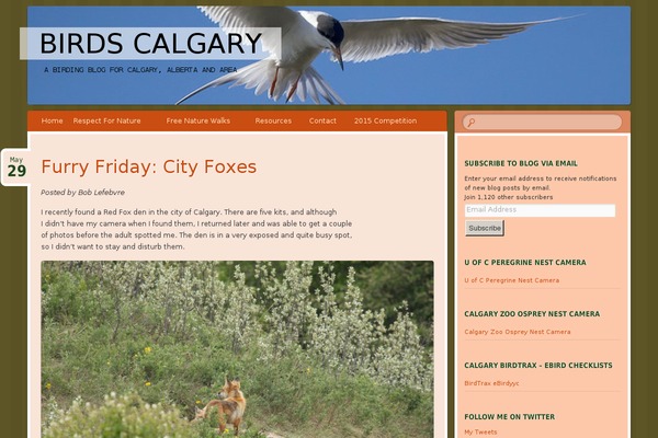 Bouquet theme site design template sample
