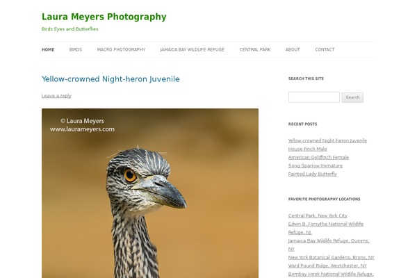 Site using Alpine PhotoTile for Flickr plugin