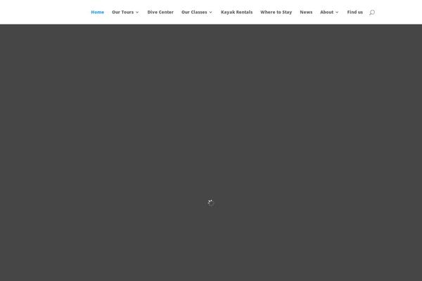 Site using Divi-responsive-helper plugin