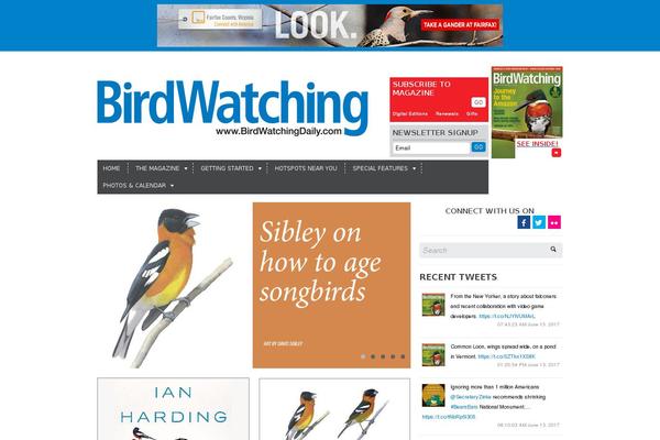Site using Sticky Menu (or Anything!) on Scroll plugin