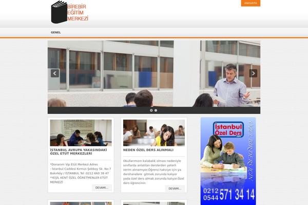 Slated theme site design template sample