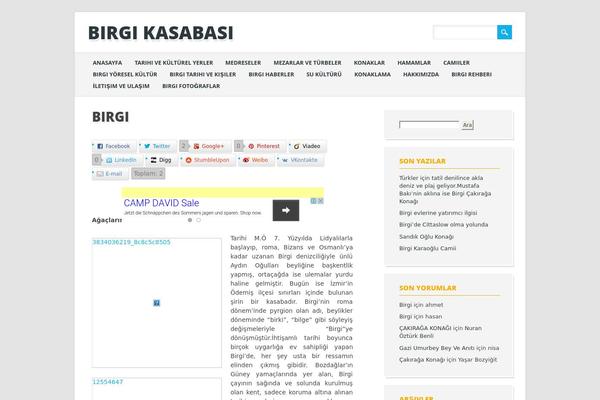 birgi.org site used The Bizness