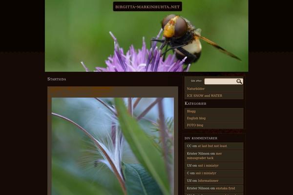 MT dark theme site design template sample