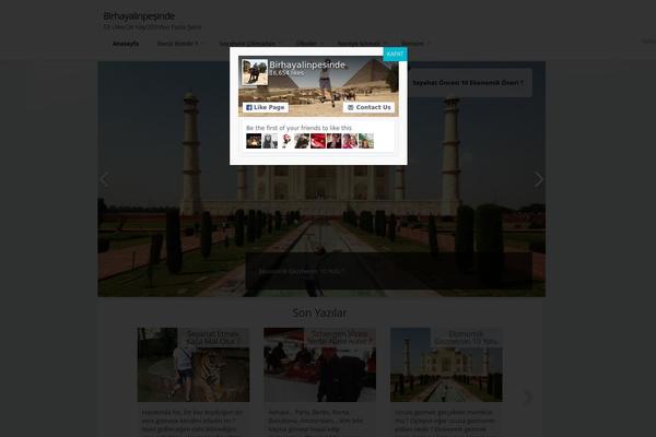 travelous theme websites examples